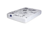 Somna Windsor Orthopaedic Coil Sprung Divan Bed Set - Orthopaedic Coil Sprung Divan Bed Set - 2'6 Small Single - No Storage - SOMNA Beds